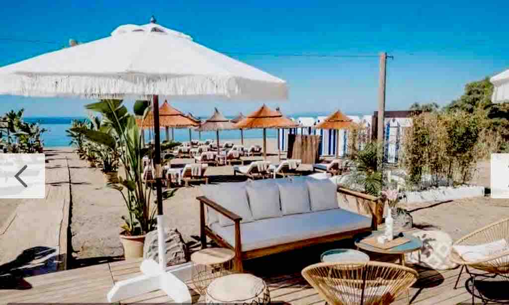 A spacious outdoor lounge area is visible, featuring comfortable seating beneath a white parasol. Beach cabanas and umbrellas can be seen in the background, with a serene view of the ocean. Potted plants add natural elements to the inviting setting.