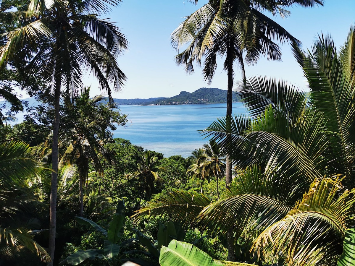 A scenic view overlooking a tranquil body of water, framed by lush palm trees and vibrant green foliage. The landscape includes distant hills, enhancing the sense of natural beauty under a clear blue sky.