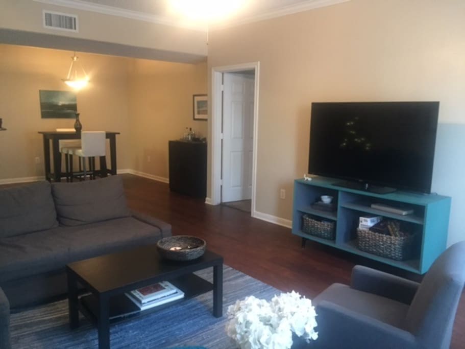 living room (including sofa bed)