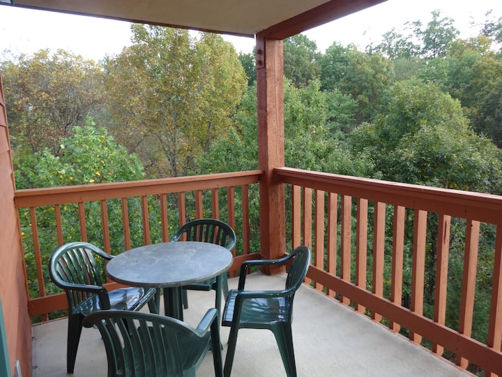 Top 12 Airbnb Vacation Rentals Near Dollywood, Tennessee Updated 2024
