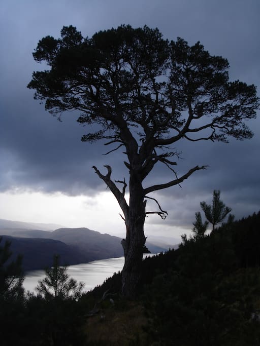 View of Loch Ness from the Great Glen Way