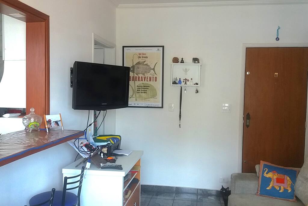 SALA/ LIVING ROOM / ENTRANCE