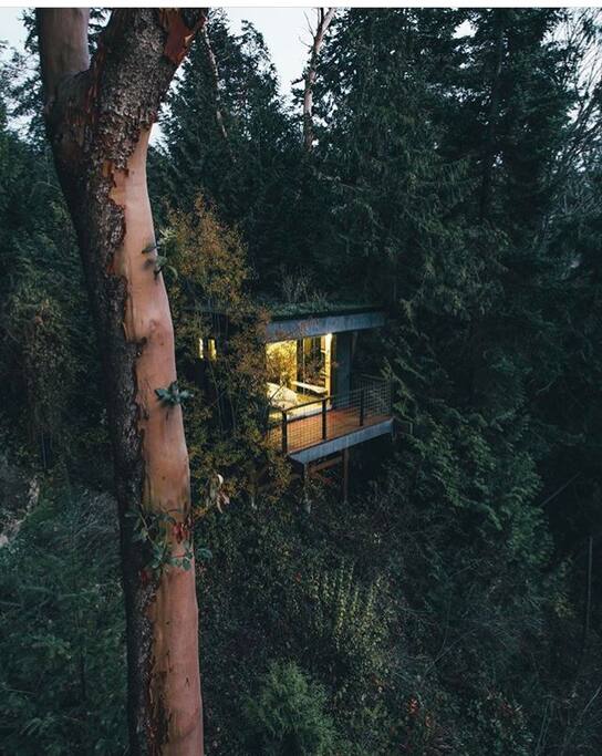A great shot of the Lookout at dusk from guest and photographer Dylan Furst