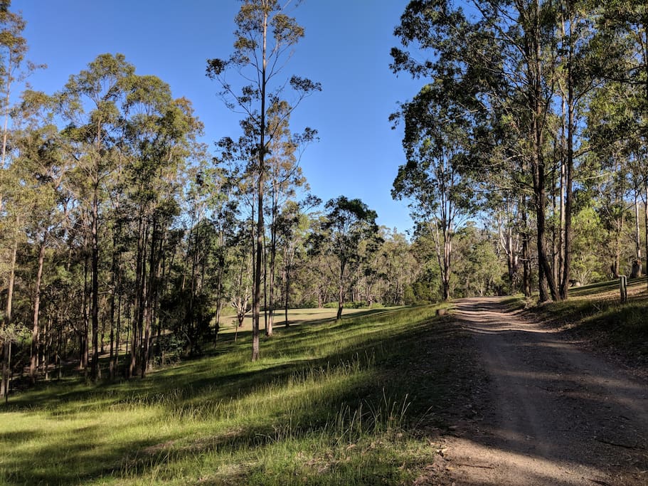 Bushland Park Setting