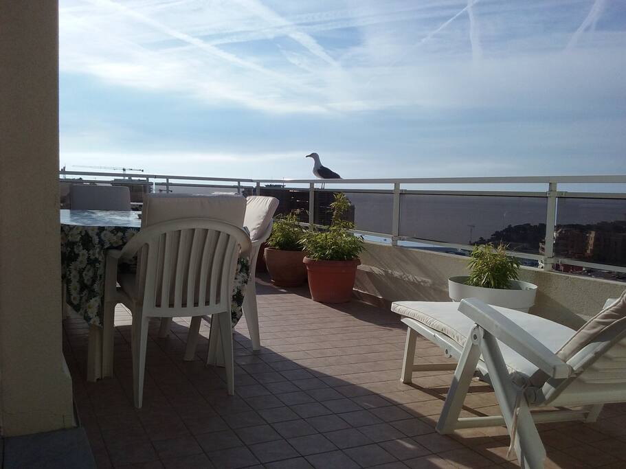 Une mouette s'accorde une pause