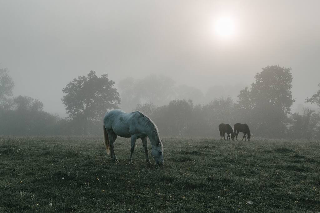 Photo: Ryno de Villiers