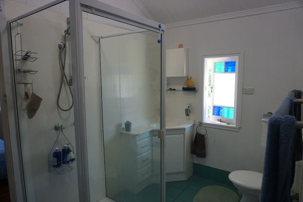 Bathroom - clean and with a great shower!