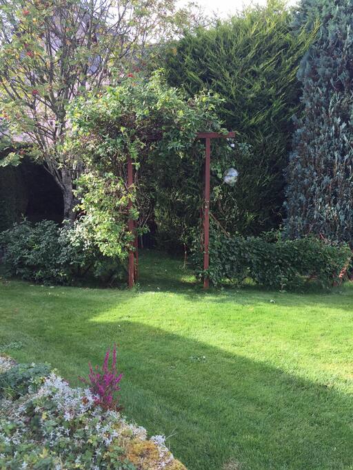 Back Garden