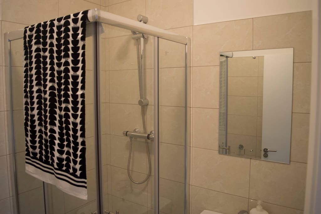 en-suite bathroom, electric shower and mirroe