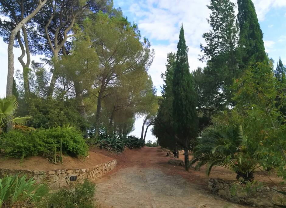 Strada interna per raggiungere la casa