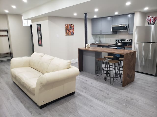 NEW Upscale Modern Clean 2 Bedrm Apt High Ceilings