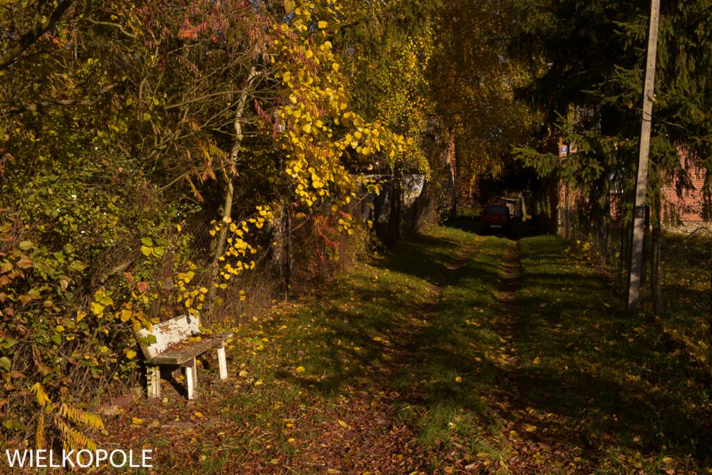 the access road