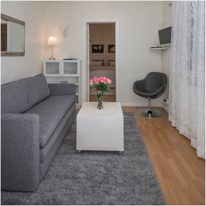 Living room with a sofa and tv