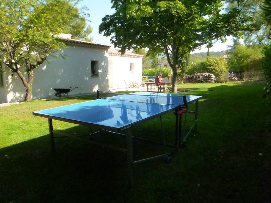 Ping-Pong sous le marronnier