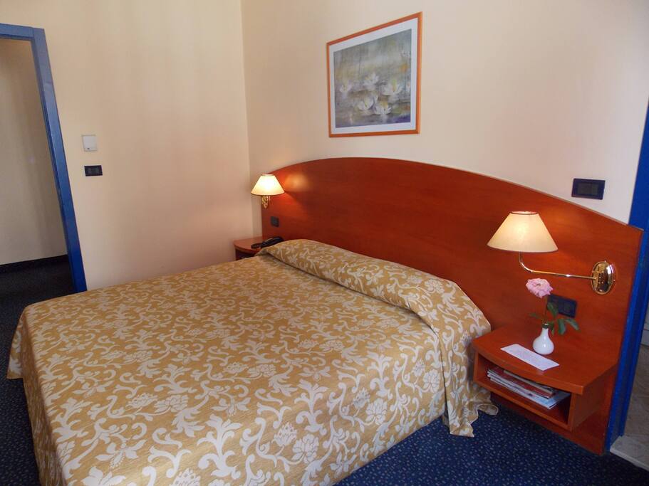 Double room( single use)