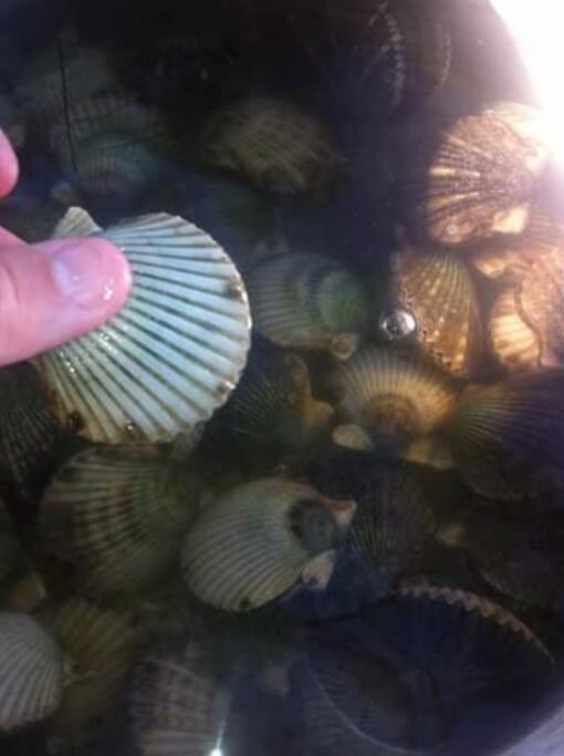 private bay entrance for your scalloping fun