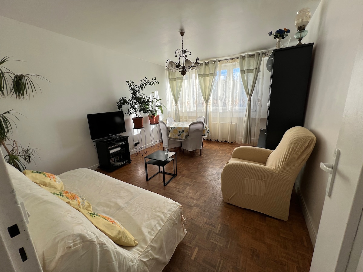 A bright living area is presented with large windows dressed in sheer curtains. A sofa bed and a comfortable armchair provide seating. A small black table sits in the center, with indoor plants adding a touch of greenery, while a television is positioned against one wall.