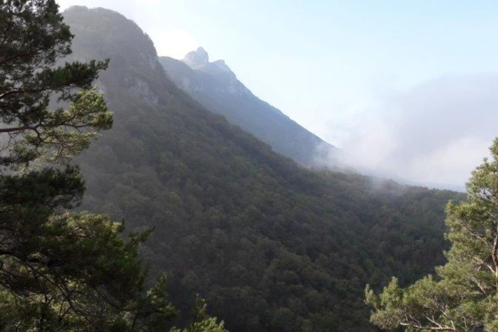 vue d'une ballade à pied