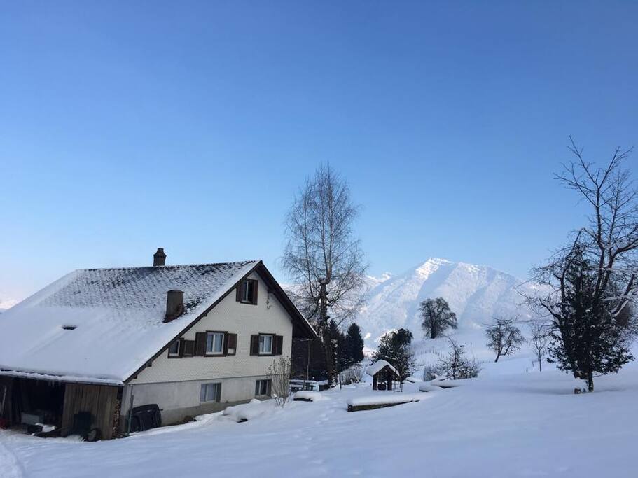 Honora Zen Haus