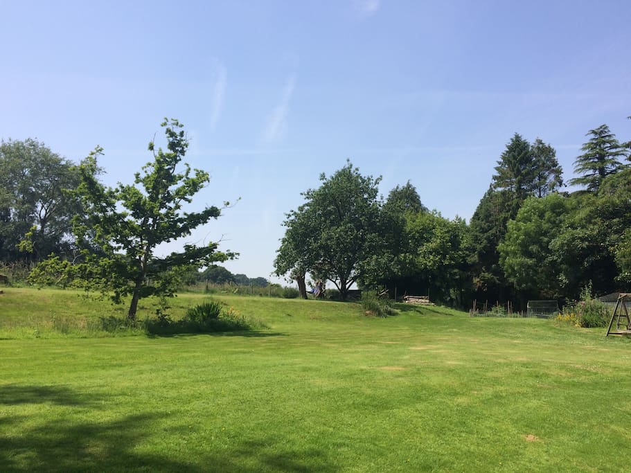 The garden, looking South