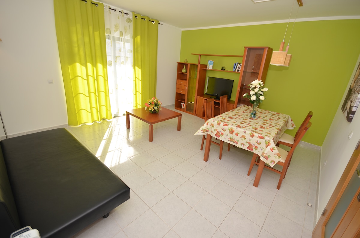 The living area displays a dark sofa contrasted by light tiled flooring. A wooden coffee table is positioned in front of the sofa, while a dining table with four chairs occupies one side. A green accent wall complements the bright drapes and a wooden shelf with a television.