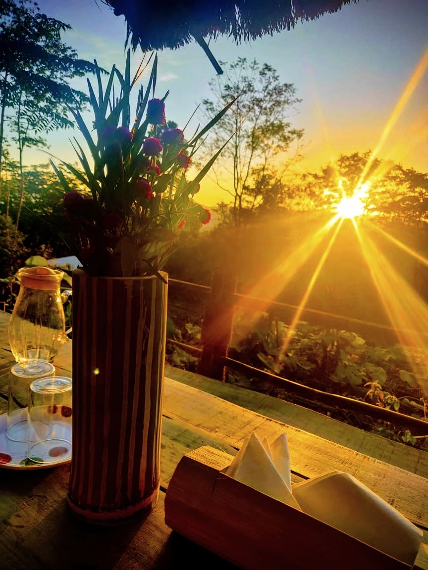 A table setting is captured at sunset, featuring a tall vase with fresh flowers. The golden sunlight filters through the foliage, casting a warm glow over the scene. Nearby, glassware is placed on the table, enhancing the inviting atmosphere of the outdoor dining space.