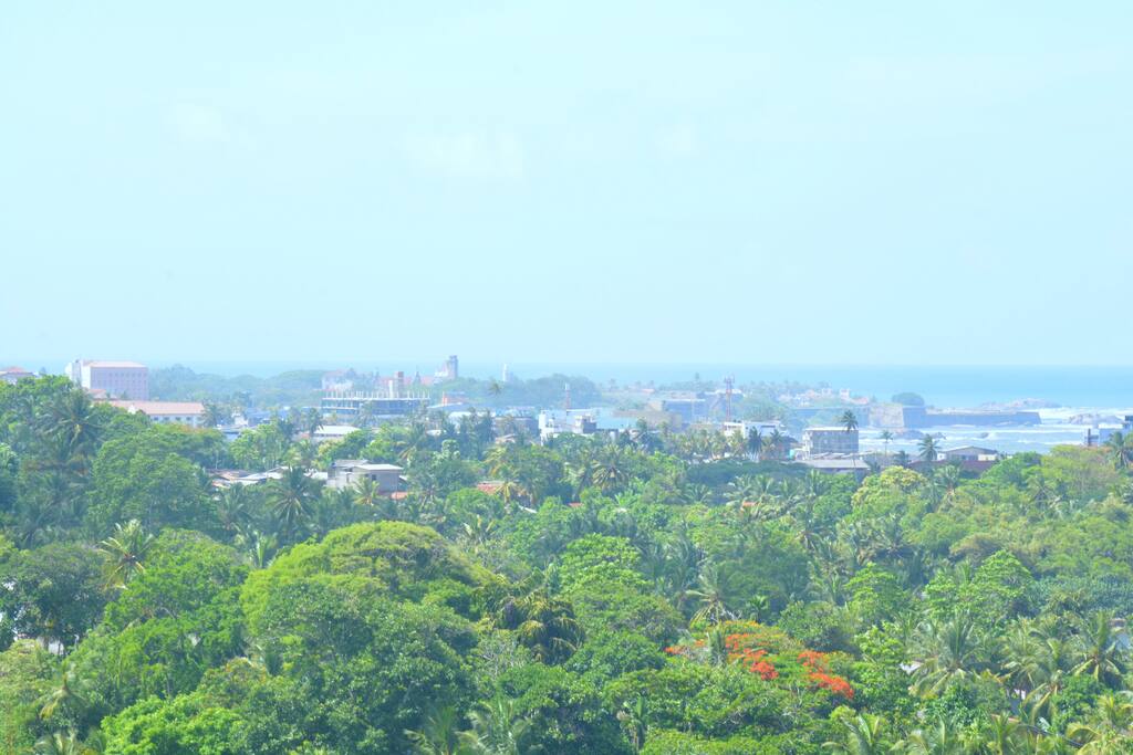 CITY VIEW