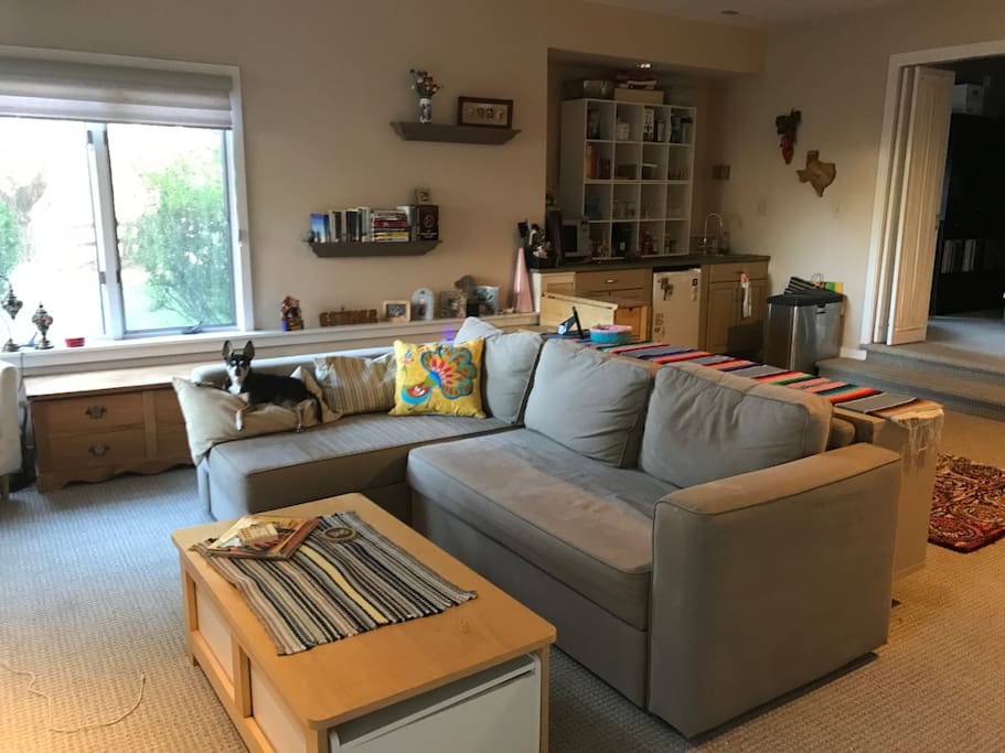 Living room and kitchenette