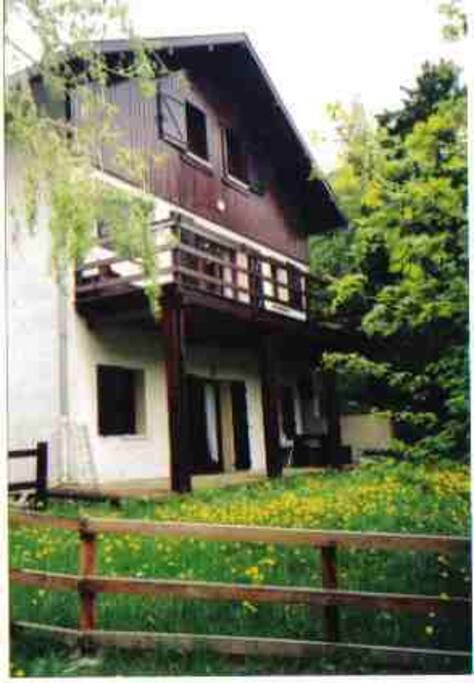 le chalet et le jardin