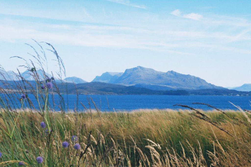 View over Loch Ewe from Coille Bheag in summer
