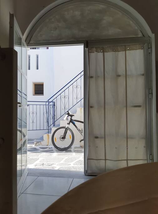 the alley as you see it from inside