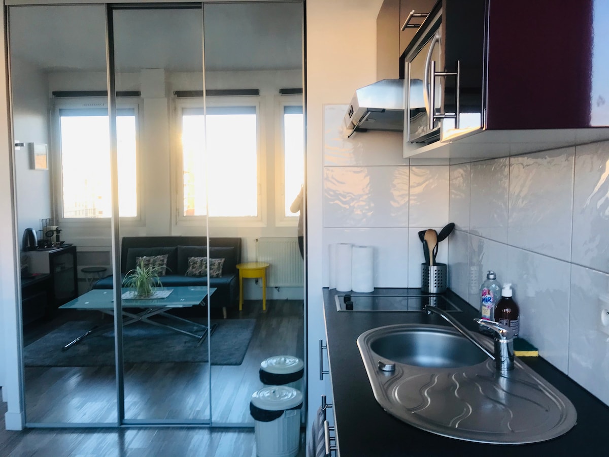 A modern kitchenette is visible, featuring a stainless-steel sink and cooking area. Across from it, large mirrored cabinets reflect the bright, spacious living area, which includes a sofa and coffee table. Natural light enters through the windows, highlighting the contemporary design.