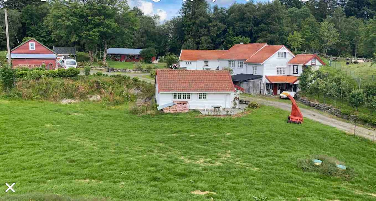 The image captures a view of a spacious farm property surrounded by green fields. Several buildings, including a red structure and a white house with a red roof, are visible. The landscape features lush grass and trees, providing a serene countryside setting.