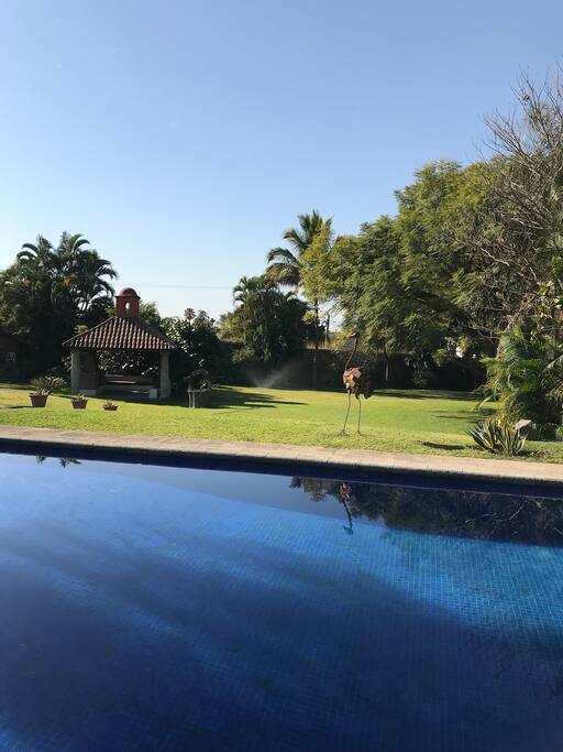 Vista del jardin