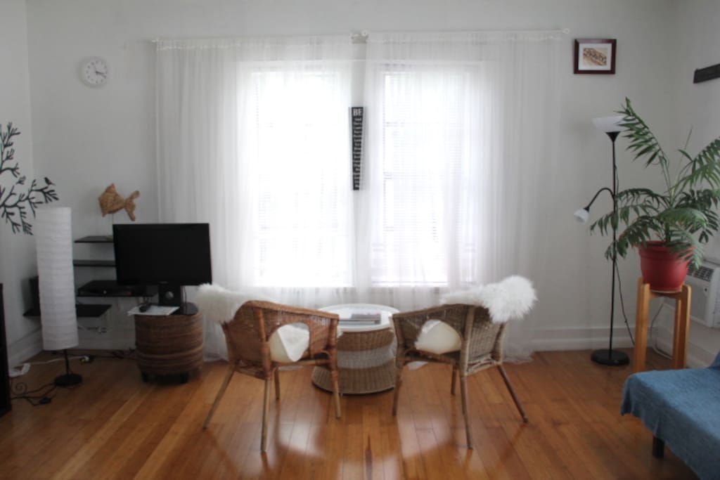 UPDATED!! Enjoy a beverage while sitting on comfy wicker chairs looking through large sunny windows over looking Flamingo Park or Cable TV.