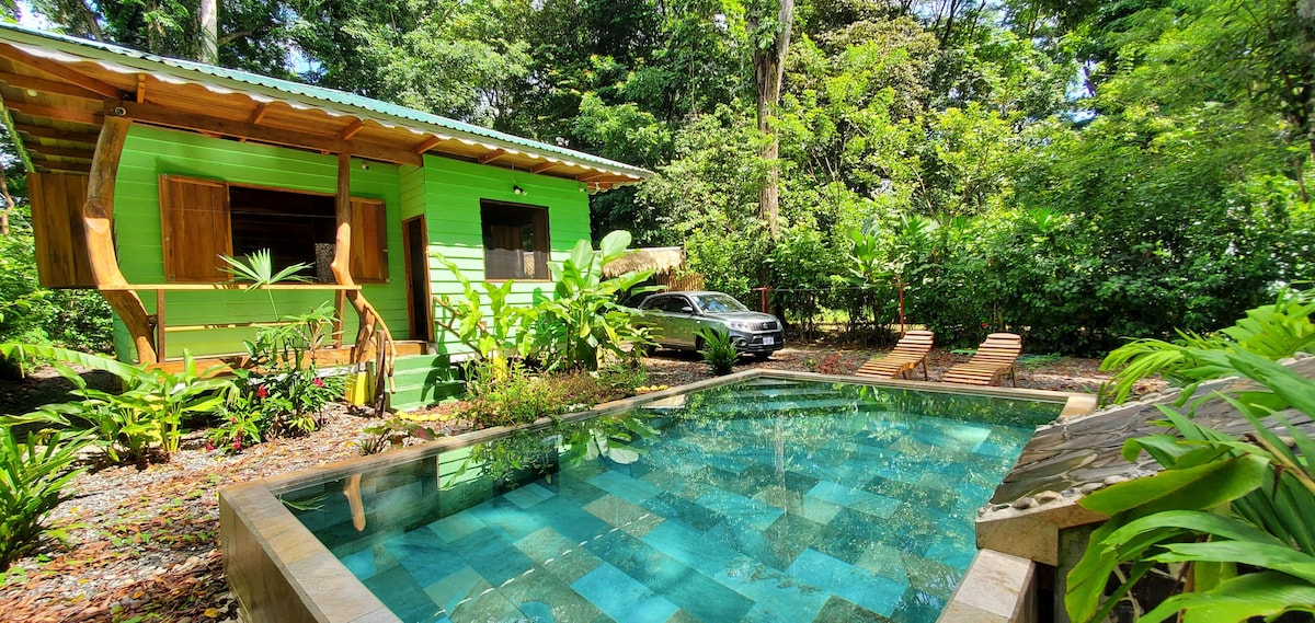 A rustic green house is surrounded by lush greenery, with large windows and a gravel area in front. A comfortably sized pool with blue tiles is visible, accompanied by several lounge chairs. A vehicle is parked nearby, enhancing the serene atmosphere of the setting.