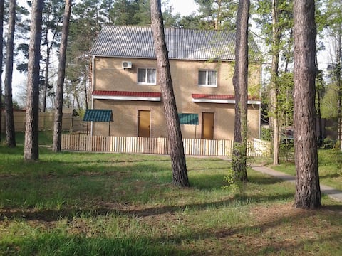 2 комнатный дом в лесу, на берегу р.Десна. (50 м)