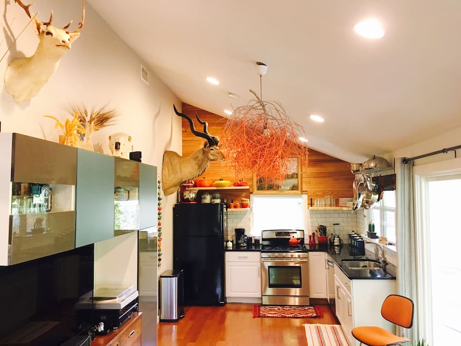 Open kitchen and living area.