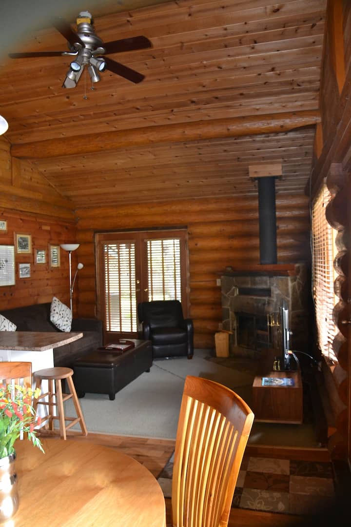 Dream By The Fire Place In Our Lovely Log Home! - Parksville