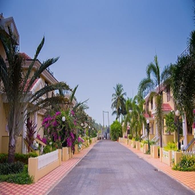 Drive Way Through The Gated Community