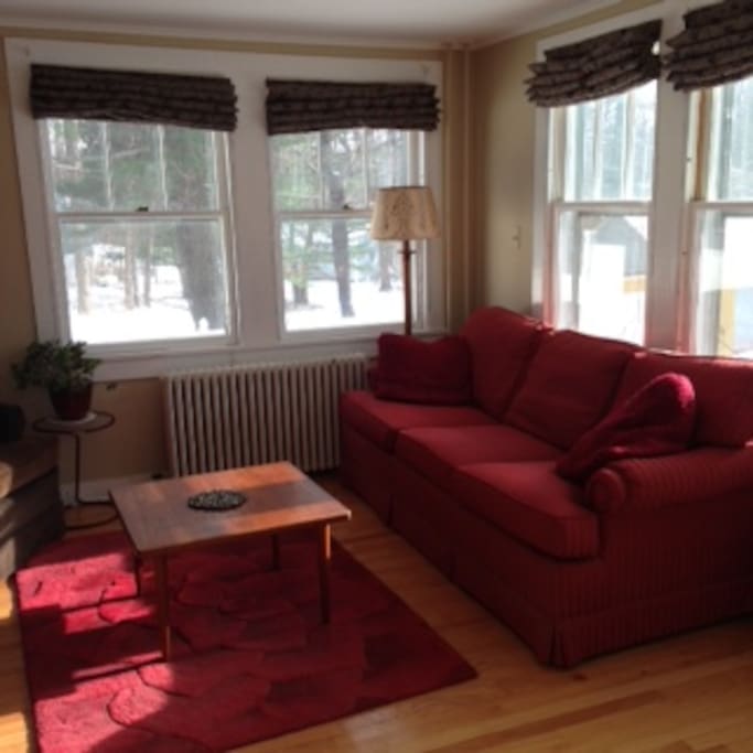 Living Room: Pull out couch