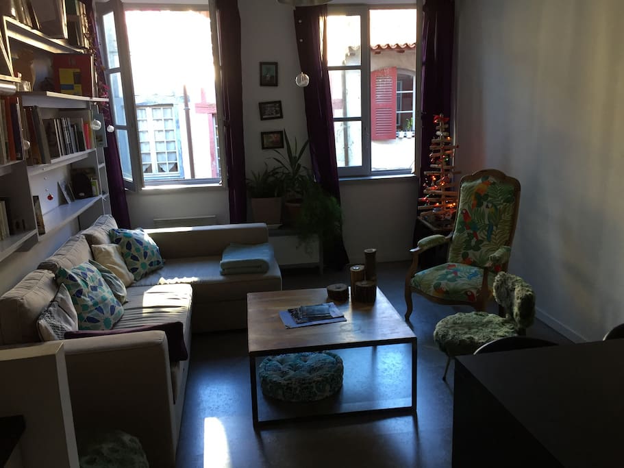 Voici le salon avec un grand canapé lit deux places. Les fenêtres sont en double vitrage.
