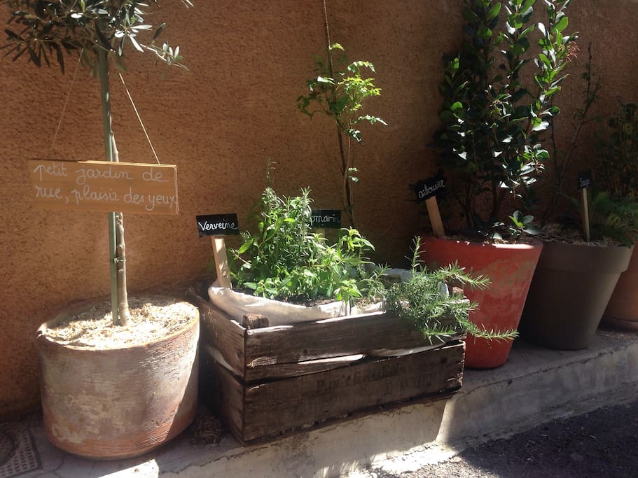 Petit jardin de rue sous la fenêtre de la chambre ☘