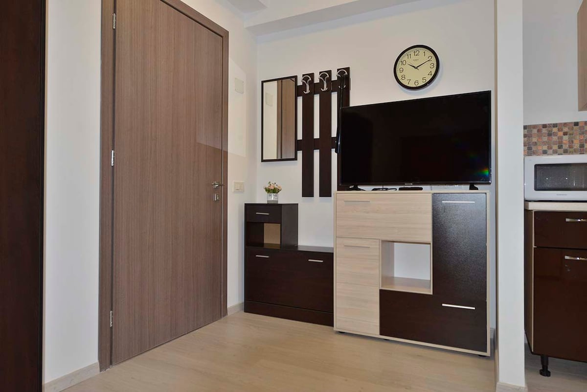 A modern living area is displayed, featuring a flat-screen TV mounted on the wall above a stylish entertainment unit. The furniture includes dark wood cabinetry and a light wooden section. A wall clock is positioned above, with a single decorative plant resting on the unit.