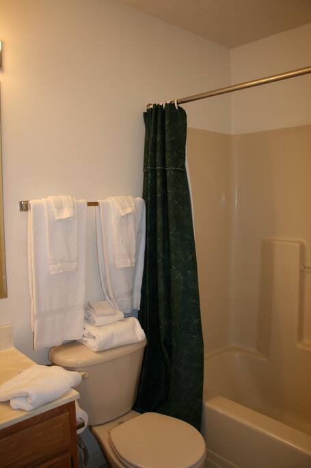 Hallway bathroom.