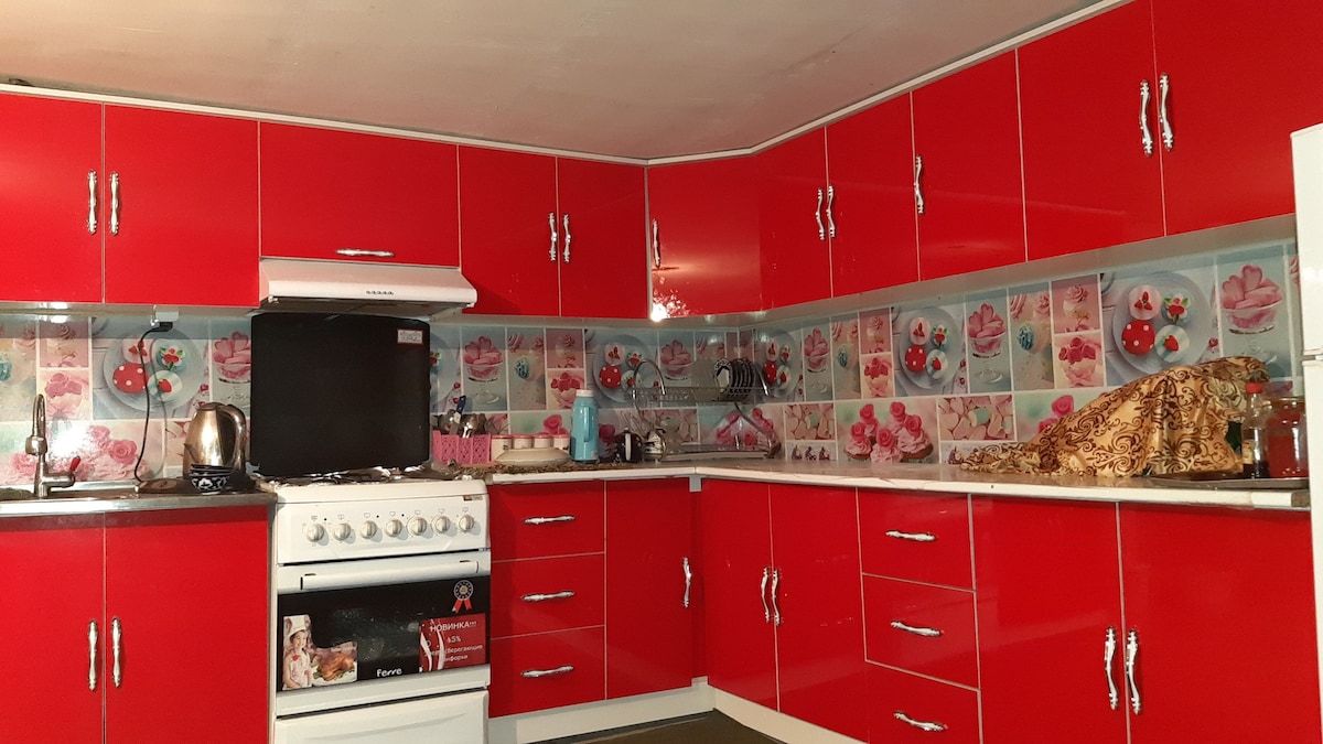 A vibrant kitchen is equipped with glossy red cabinets and a coordinating backsplash featuring fruit designs. A white gas stove is situated against the wall, with a kettle on the counter. Various kitchen items are organized on the shelves, contributing to a functional layout.