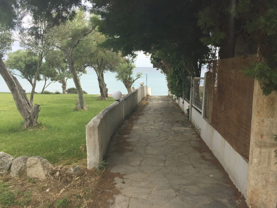 Path to the beach