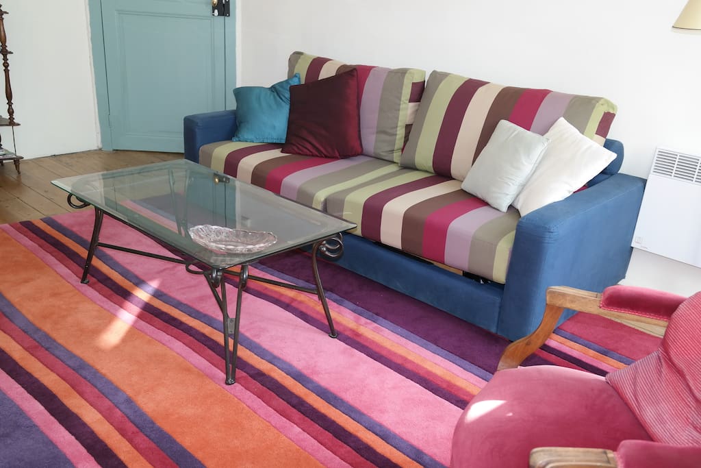 Robert Doisneau apartment with fabulous Roche Bobois sofa.