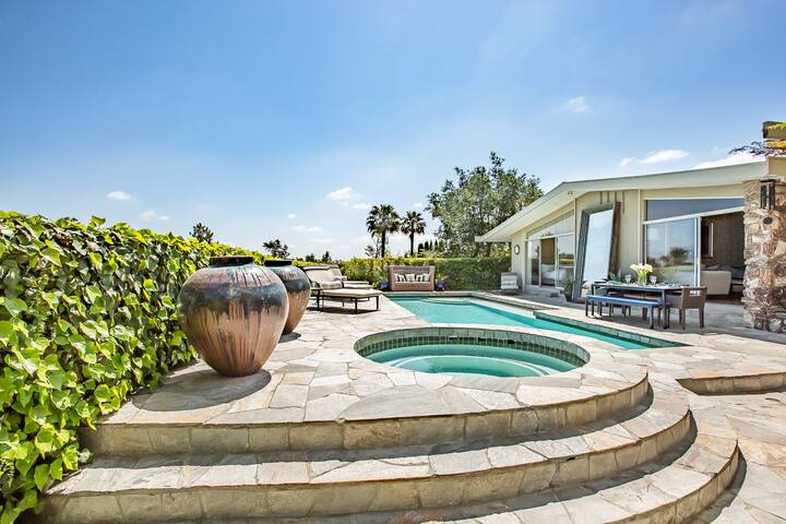 Hollywood Hills Mid-Century Modern gallery image 3