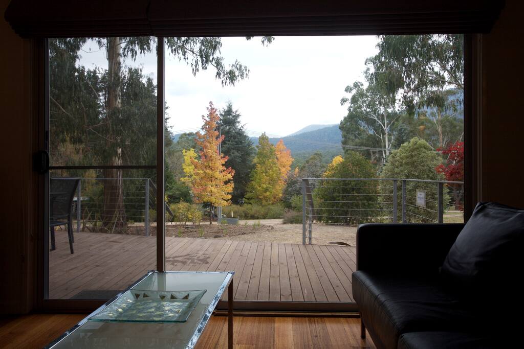 The beautiful view